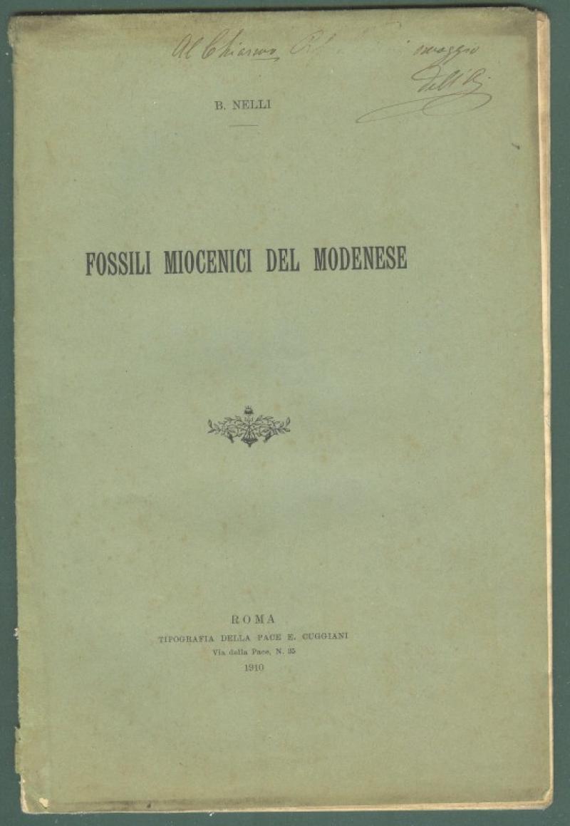 Paleontologia - Emilia. NELLI B. Fossili miocenici del modenese, 1910.