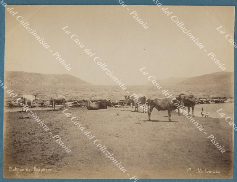 PHOTO MIHRAN IRANIAN. Foto originale all&#39;albumina, circa 1890. Entree du …