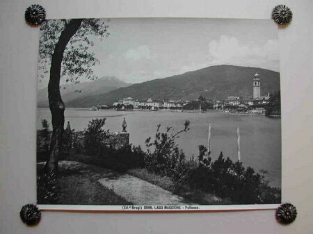 (Piemonte - Lago Maggiore) Pallanza, bel panorama