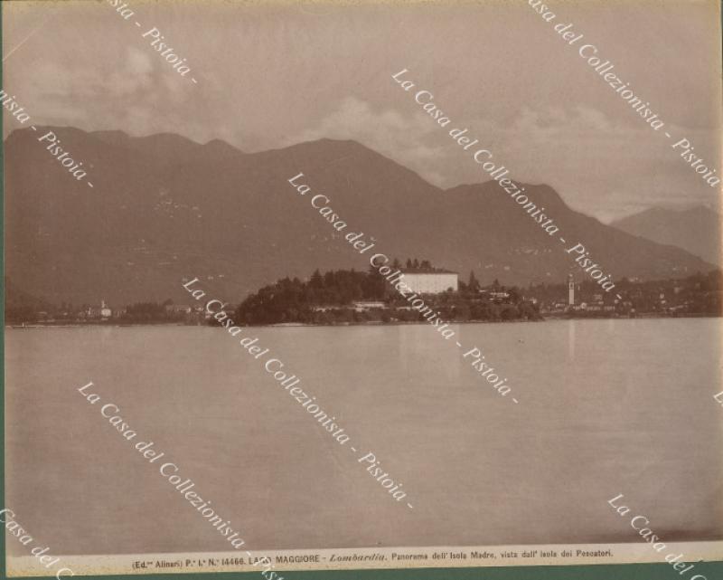 Piemonte, Verbania. ISOLA MADRE, Lago Maggiore. Fotografia originale, fine 1800