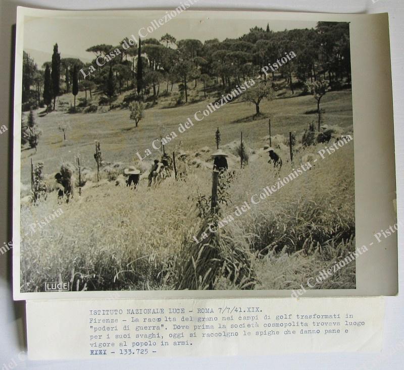 SECONDA GUERRA. Foto Luce 7.7.1941. Firenze, la raccolta del grano …