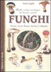 Funghi dalle nostre montagne, da boschi e prati. Buoni, meno …