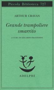 Grande trampoliere smarrito