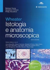 Wheater. Istologia e anatomia microscopica