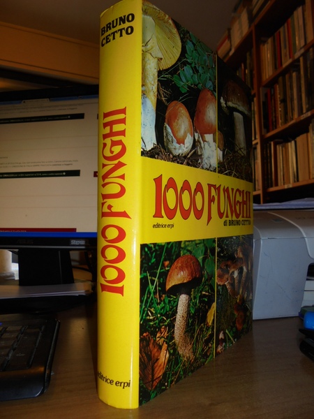 1000 Funghi