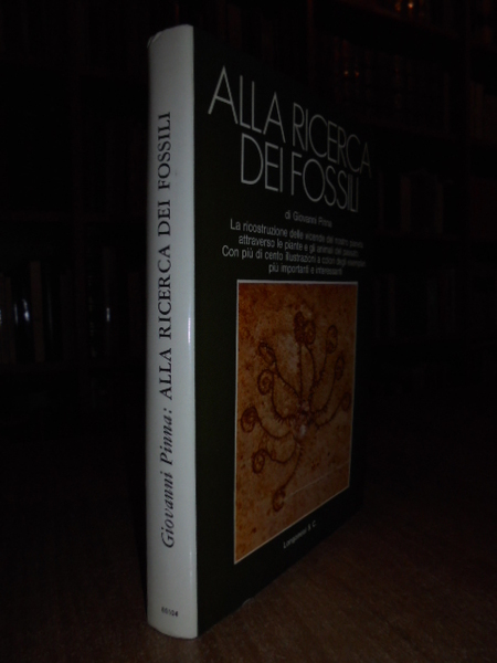 Alla ricerca dei fossili di Alla ricerca dei fossili di …