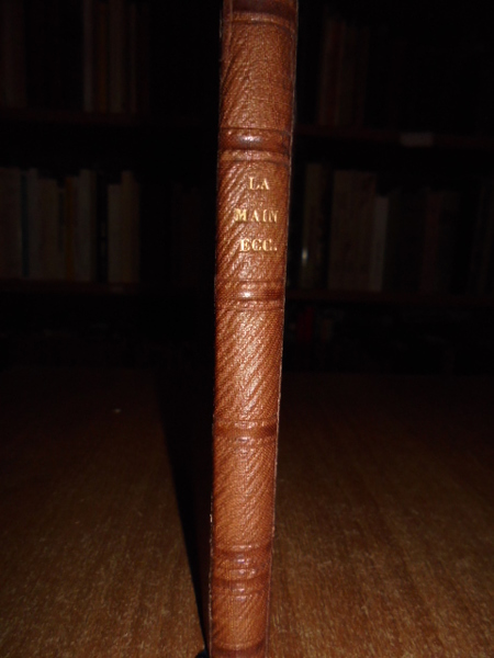 Chiromancie: études sur la main, le crane, la face