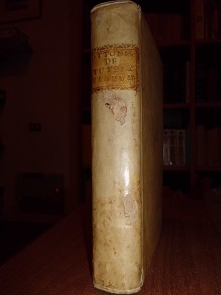 DE TUTELA VIARUM PUBLICARUM LIBER SINGULARIS; CUJUS PARS I EST …