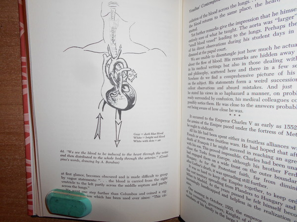 DISCOVERERS of BLOOD CIRCULATION. From Aristotle to the Times of …