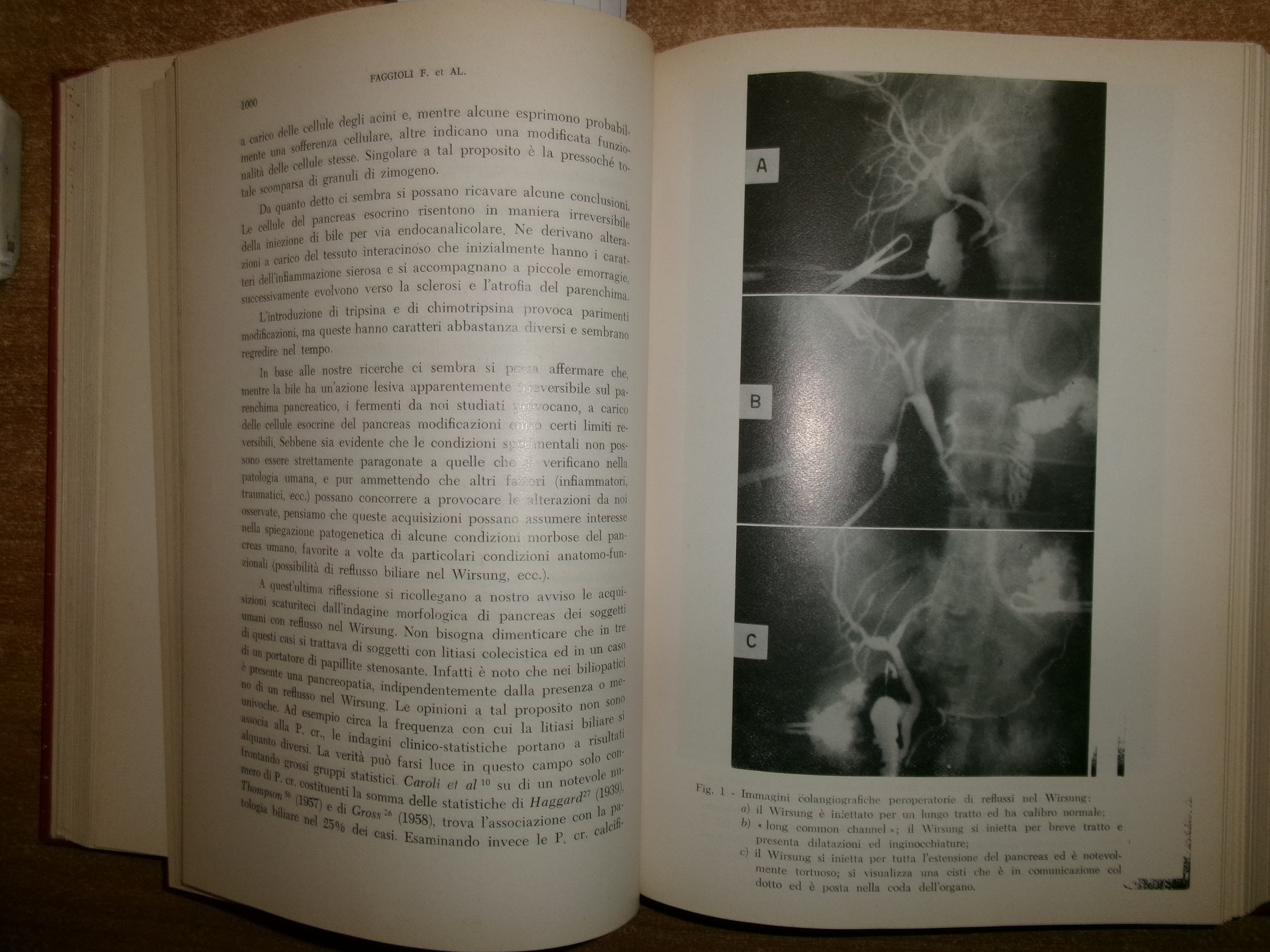 DOMENICO CAMPANACCI. Giornale di Clinica Medica 1968 12 fascicoli legati …