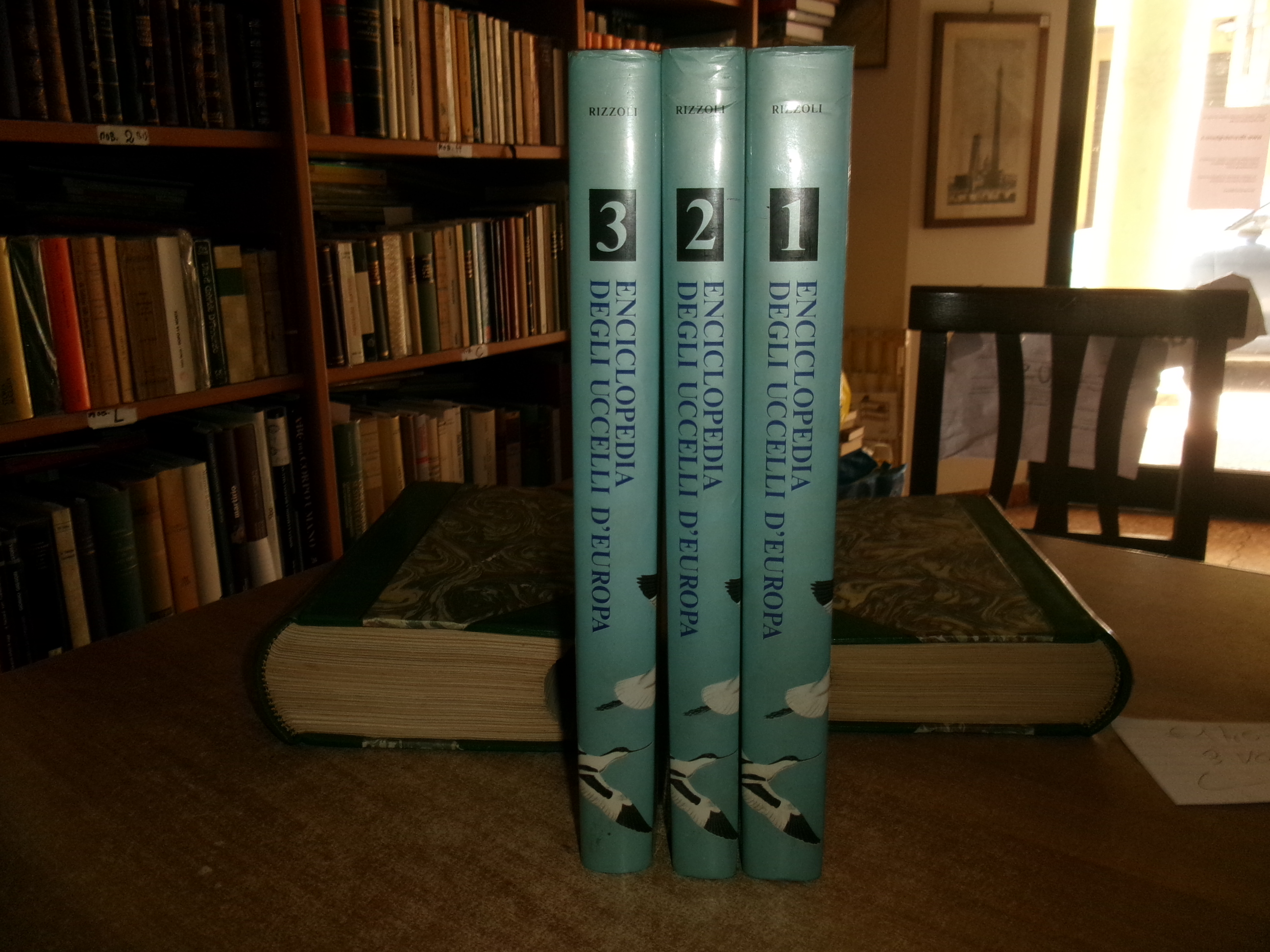Enciclopedia degli UCCELLI d' EUROPA a cura di Sergio Frugis. …