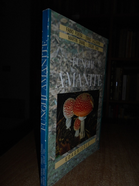 Funghi AMANITE