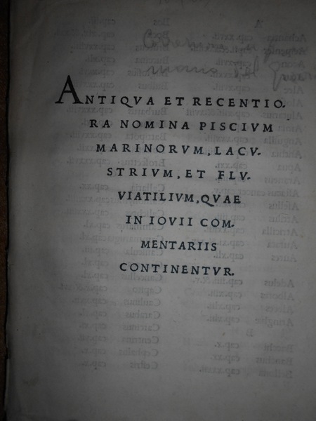 Giovio (Paolo),1483-1552.De romanis piscibus libellus ad Ludovicum Borbonium