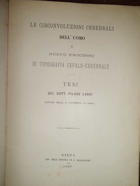 Le circonvoluzioni cerebrali dell' uomo