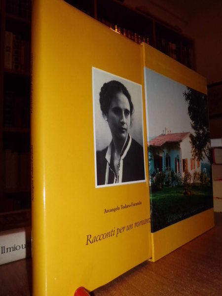 Racconti per un Romanzo