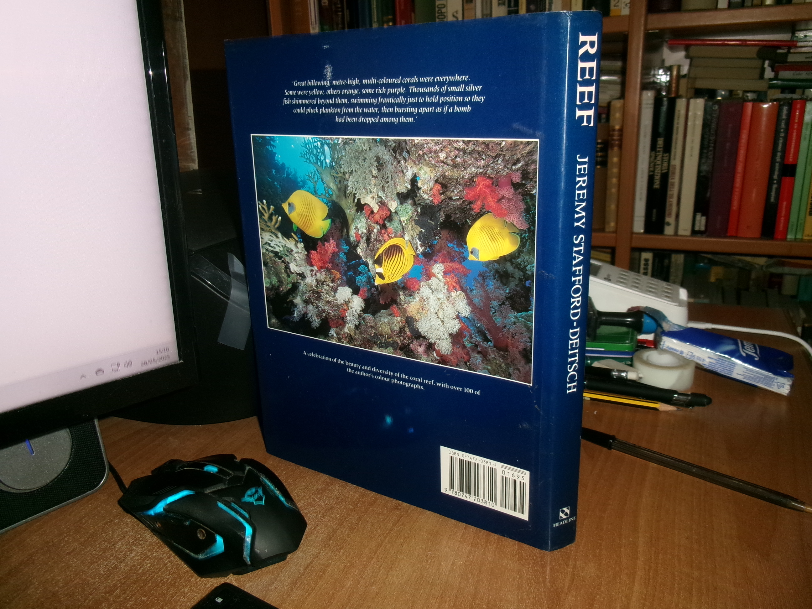 REEF A Safari Through the Coral World. JEREMY STAFFORD-DEITSCH 1991