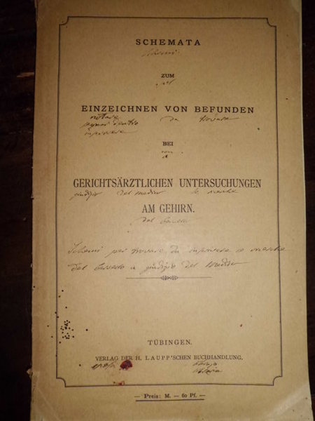 Schemata Zum Einzeichnen von Befunden bei. (Anatomia cerebrale)