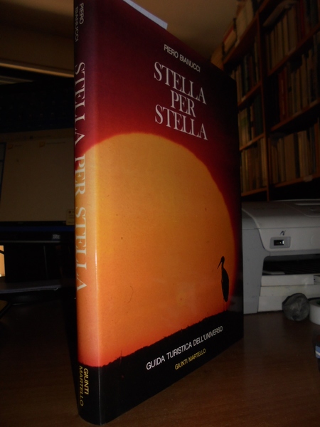 Stella per Stella. Guida turistica dell' Universo