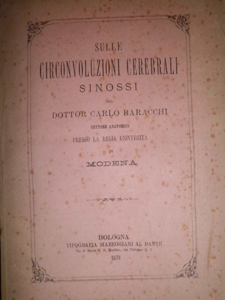 Sulle circonvoluzioni cerebrali. Sinossi.