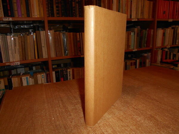 The Construction of the Wonderful Canon of Logarithms