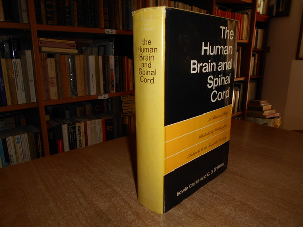 The Uman Brain and Spinal Cord