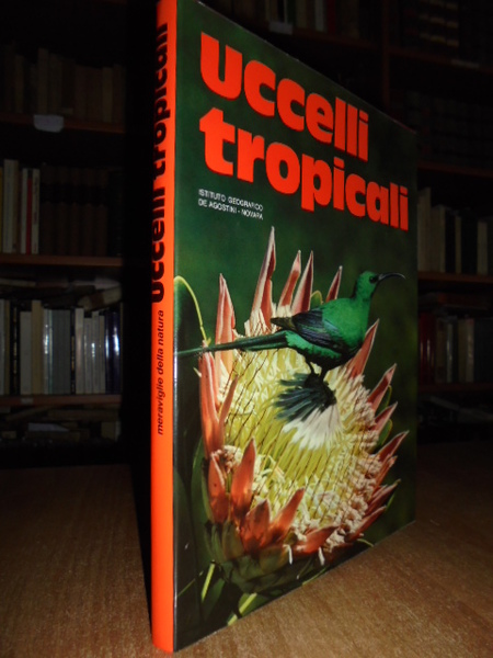 Uccelli tropicali