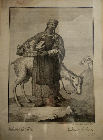 Racçolta di Stampe che representano Figure e Abiti di varie …