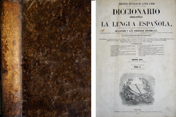 Diccionario Enciclopédico de la Lengua Española, con todas las vozes …