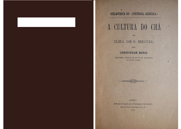 A cultura do Chá na Ilha de São Miguel.