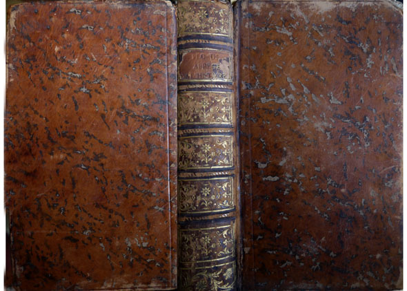 Abregé de l'Histoire Romaine. Traduction nouvelle, avec des notes, par …