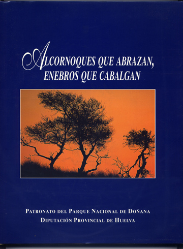 Alcornoques que abrazan, enebros que cabalgan. Doñana.