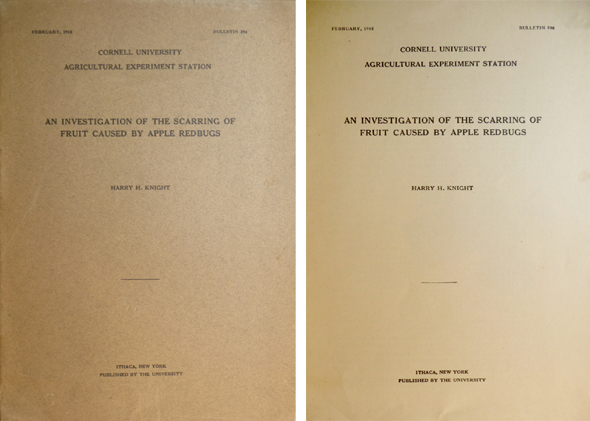 An investigation of the scarring of fruit caused by apple …