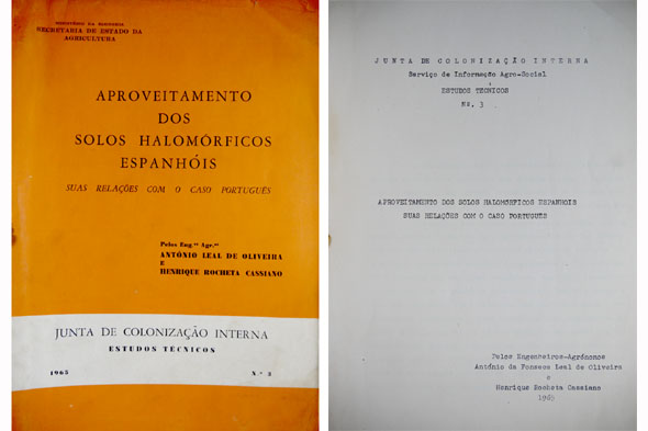 Aproveitamento dos solos halomórficos espanhóis. Suas relações com o caso …