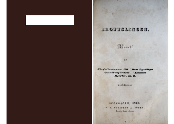 Brottslingen. Novell. Af författarinnan till "Den lyckliga omnibusfärden" , "Emmas …