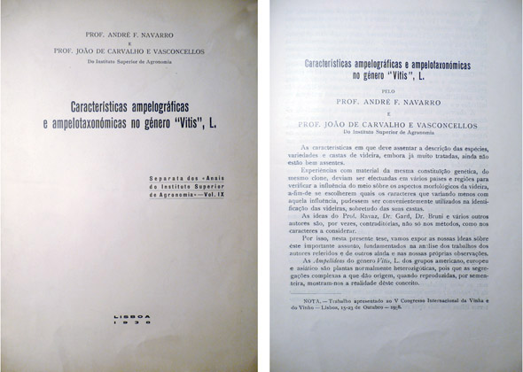 Características ampelográficas e ampelotaxonómicas no género "Vitis, L.".