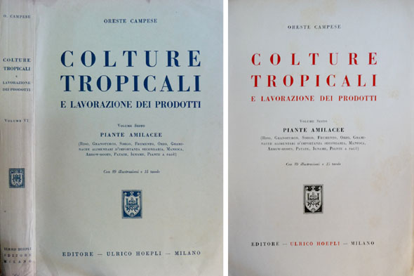 Colture Tropicali e Lavarazione dei Prodotti. VI: Piante Amilacee.