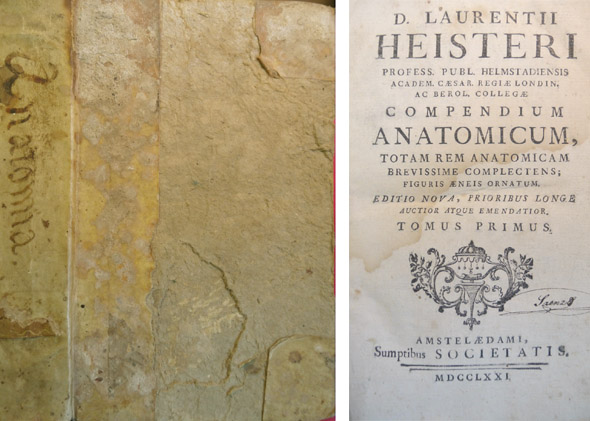 Compendium Anatomicum. Editio nova, prioribus longe auctior atque emendatior.