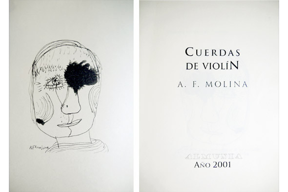 Cuerdas de Violín.