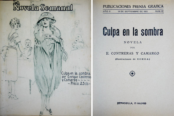 Culpa en la sombra. Novela.