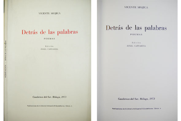 Detrás de las palabras. Poemas.