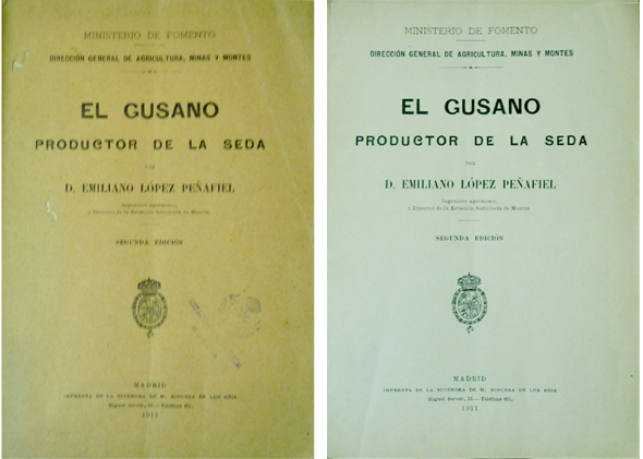 El gusano productor de la seda.