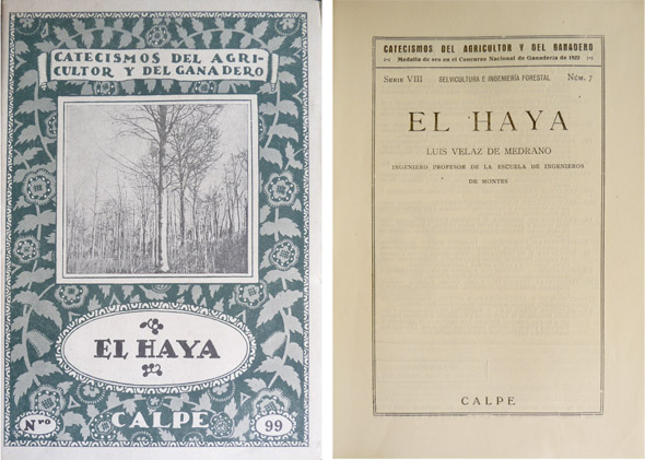 El Haya.