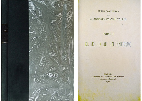 El idilio de un enfermo. Novela.