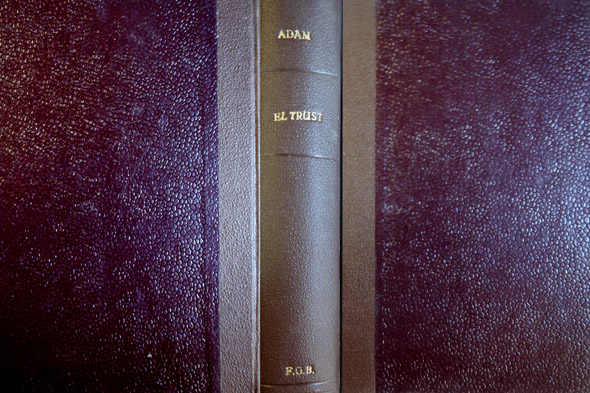 El Trust. Novela. Traducción de Enrique A. Leyra.