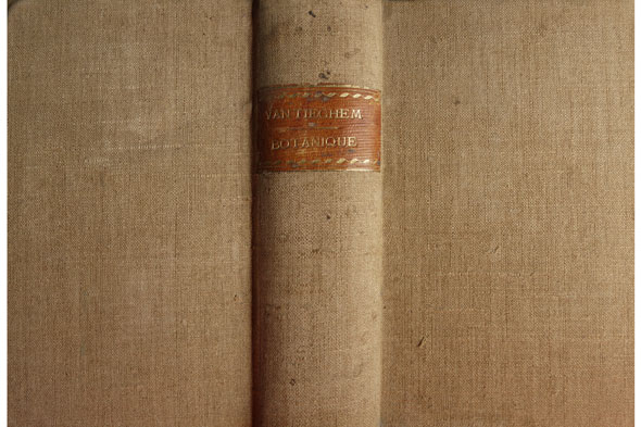 Elémens de Botanique. [I: Botanique Générale. II: Botanique Spéciale].