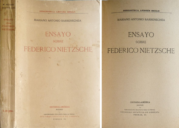 Ensayo sobre Federico Nietzsche.