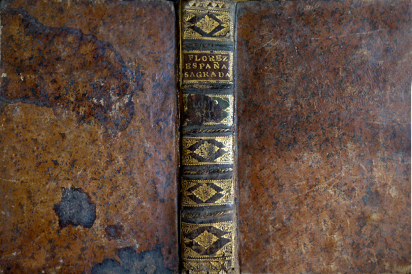 España Sagrada, VI. De la Santa Iglesia de Toledo en …