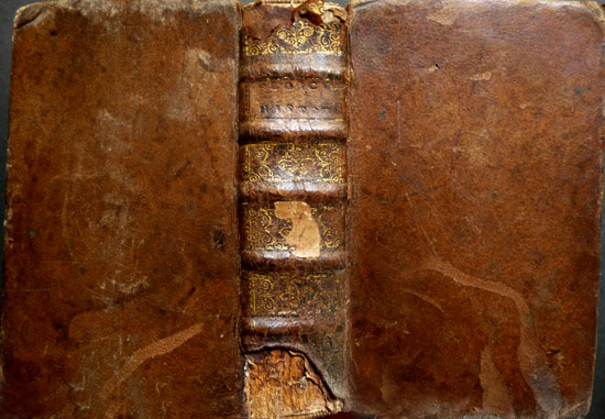 Flosculi Historiarum in Areolas suas distributi, per quos designantur Rerum …