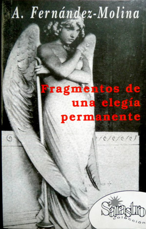 Fragmentos de una elegía permanente.