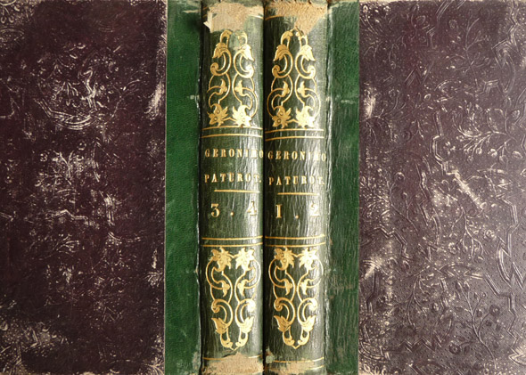 Geronimo Paturot en busca de una posición social, por Hipólito …